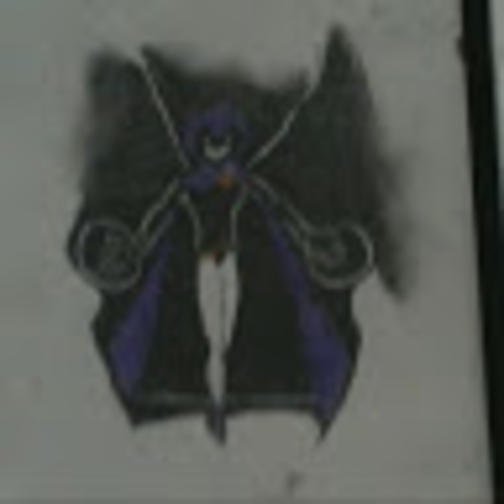 Meet your Posher, Bryanna